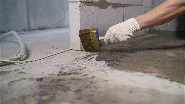 Top rated local Basement Waterproofing specialists in Woodstock, VA